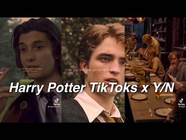 Harry Potter x Y/N TikTok POVs compilation (PT. 3)