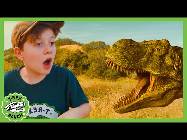 Giant T-Rex Dinosaur Hide and Escape! 🦖 T-Rex Ranch Dinosaur Videos