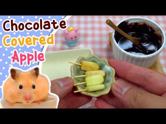 🐹 DIY Miniature Chocolate Covered Apple 🍎 for Hamsters | Miniature Cooking