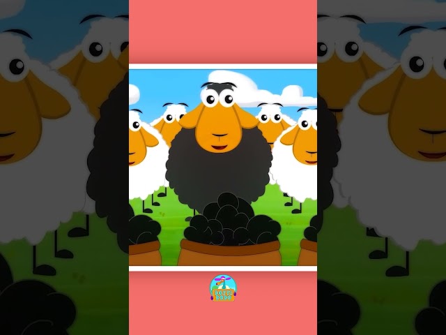 Baa Baa Black Sheep Song With Dotti Dodo #nurseryrhymes #kidssong #shorts #hooplakidz