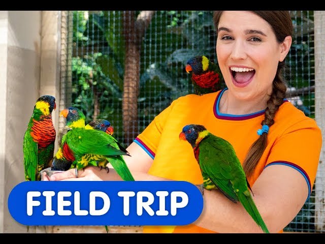 Colourful Birds in the World's Largest Indoor Free-Flying Aviary! | Caitie's Classroom Field Trip