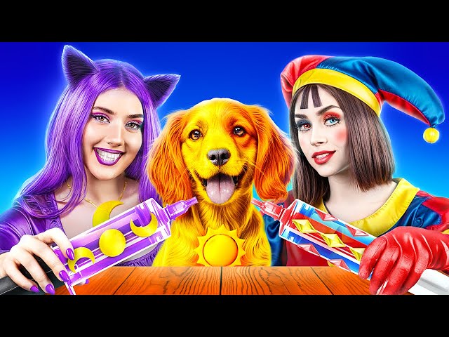 Poppy Playtime Chapter 3! Catnap vs Pomni! We Adopted a Dog!