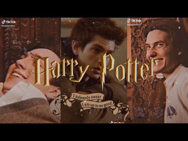 Random Harry Potter TikTok (The Marauders Edition) [Part 16]