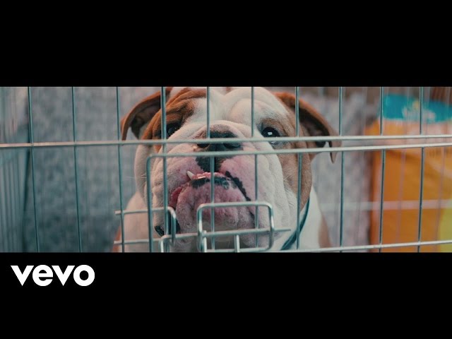 DJ Fresh vs Diplo - Bang Bang (Official Video) ft. R. City, Selah Sue, Craig David