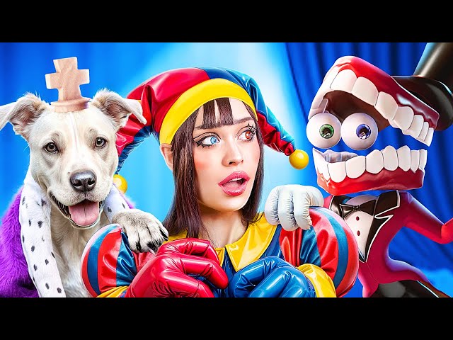 The Amazing Digital Circus Extreme Hide and Seek Challenge! We Saved a Dog!