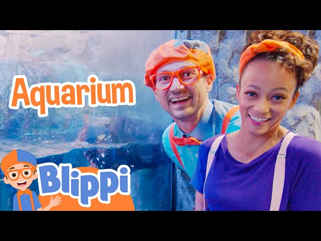Blippi Visits the Aquarium of The Pacific! | Blippi & Meekah Full Episodes | Educational Videos