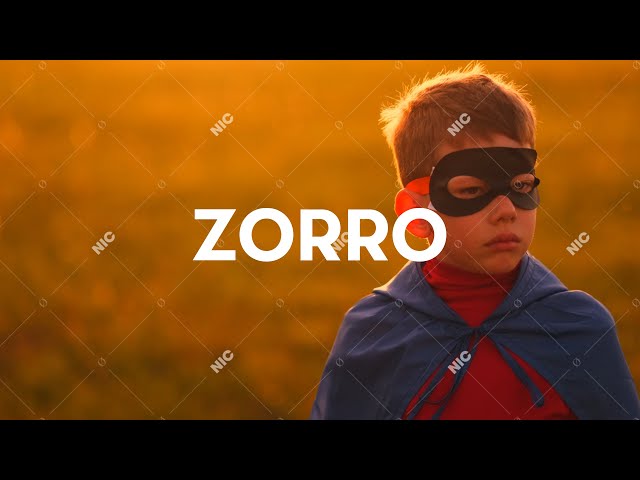 Sokół - Zorro