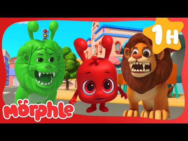 Real Lion, Green Lion | Morphle | Fun Cartoon Videos | Kids Animation