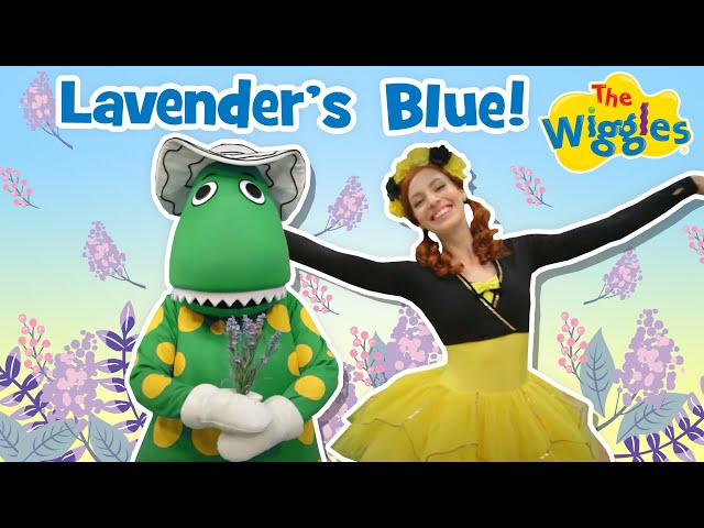 Lavender's Blue | The Wiggles