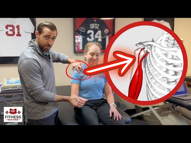 Biceps Tendinopathy - What Physical Therapists Need to Know