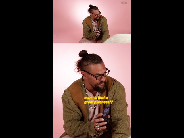 Jason Momoa FaceTime-ing his mom to show off a puppy 🥹 #shorts #puppyinterview