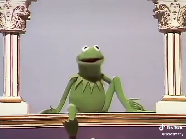 Kermit Is Tired Of Humanity’s Shit - solosmithy on tiktok