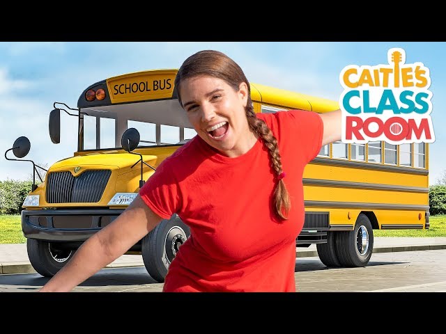 Our Favorite Field Trips | Caitie's Classroom