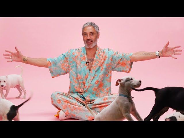 Taika Waititi: The Puppy Interview