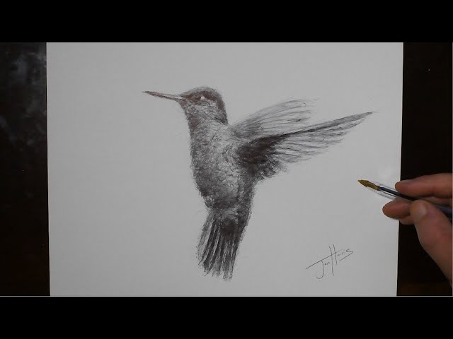 How to Draw a Hummingbird with a Ballpoint Biro Pen