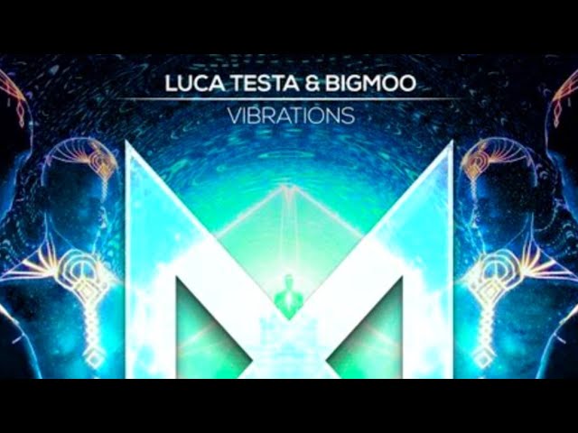 Luca Testa & Bigmoo - Vibrations
