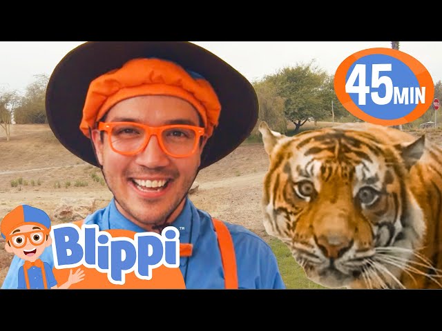 Blippi Goes on a Safari! | BEST OF BLIPPI TOYS | Educational Videos for Kids