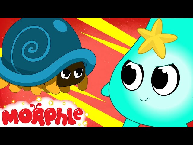 ANIMI & TOOLY - Mila's Book of Magic Pets | Cartoons for Kids | Morphle TV
