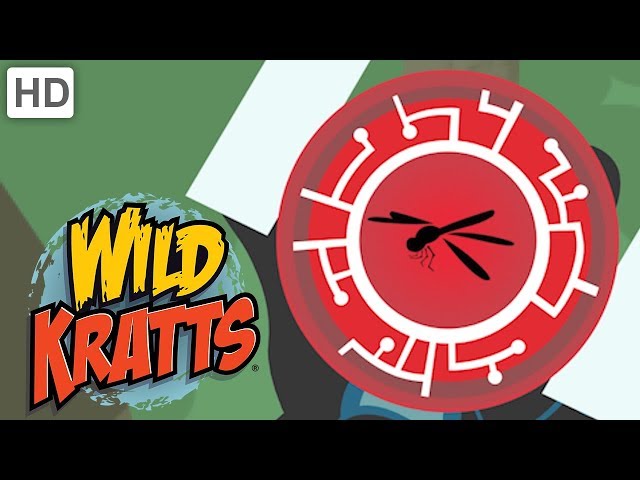 Wild Kratts - Brilliant Bugs Creature Powers | Kids Videos
