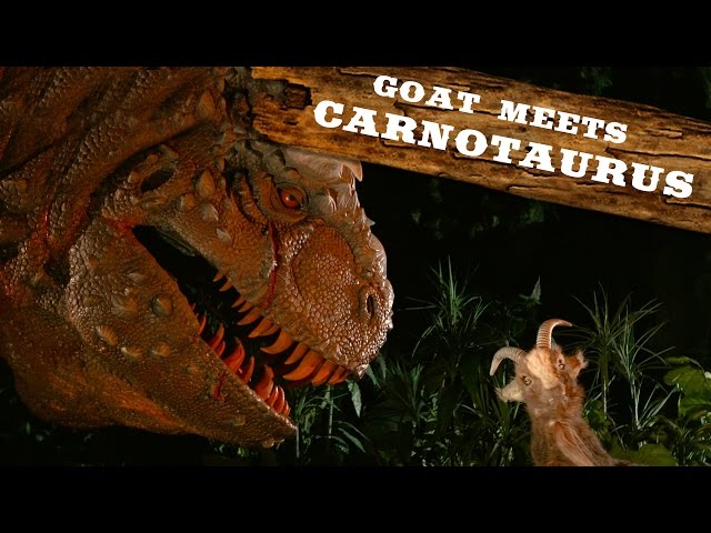 Carnotaurus | Walt Disney World Goat Friends | WDW Best Day Ever
