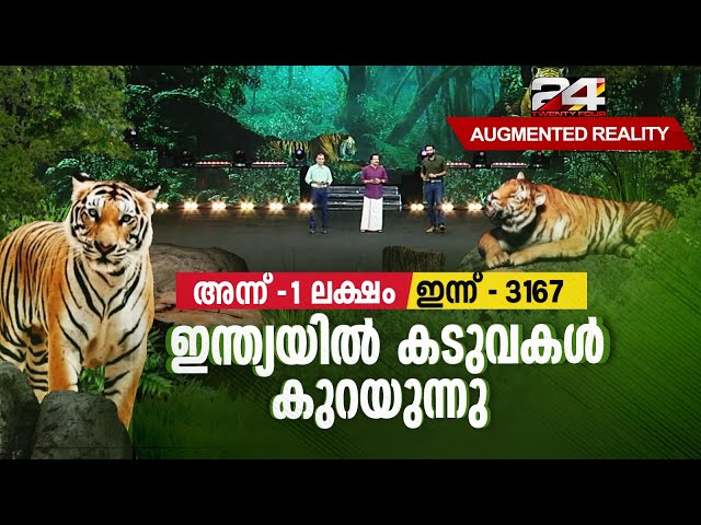 100 വർഷം മുമ്പ് ഏഷ്യയിലെ കാടുകളിൽ മാത്രമുണ്ടായിരുന്നത് ഒരു ലക്ഷം കടുവകൾ | Augmented Reality