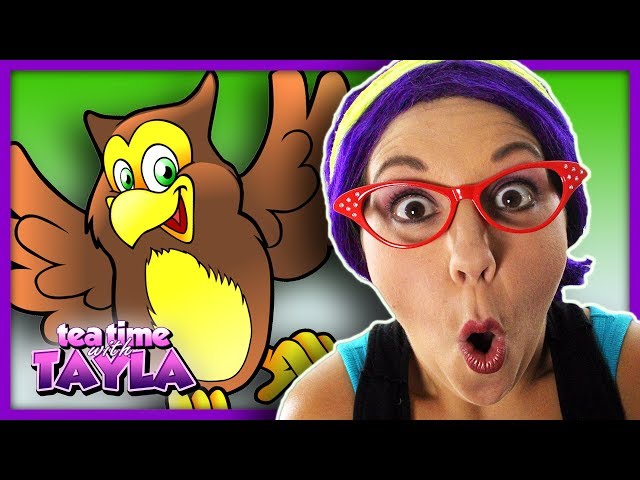 Kids Learning Animals | Owl Facts for Children | Learn to Identify Colors on Tea Time with Tayla