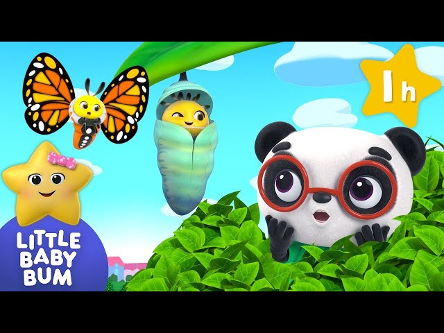 Caterpillar Song ⭐ LittleBabyBum Nursery Rhymes - One Hour Baby Songs Mix