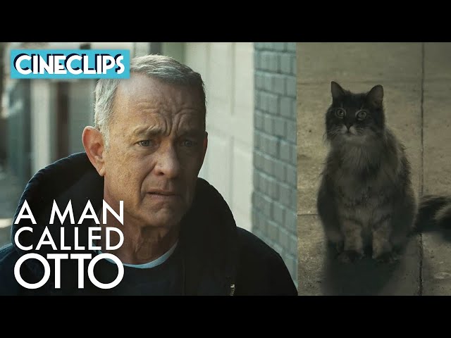 A Man Called Otto | Otto Becomes A Hesitant Cat Owner | CineClips