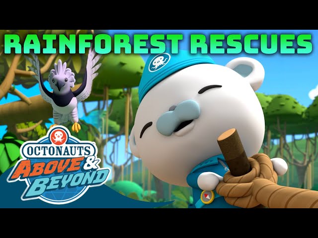 Octonauts: Above & Beyond - Rainforest Rescues | Compilation |  @Octonauts​