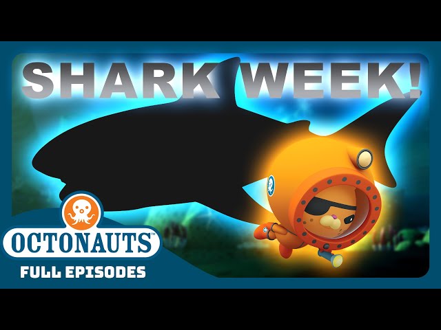 @Octonauts - 🦈 GIGANTIC SHARKS! 🦈 | Bumper Pack Special! | Full Episodes
