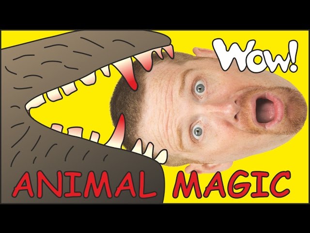 Animal Magic with Maggie and Steve | English Stories for Kids | Wow English TV