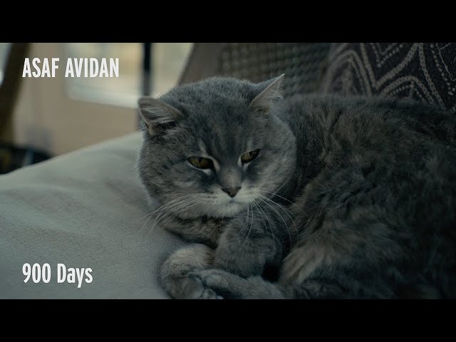 Asaf Avidan - 900 Days (Anagnorisis | Track-By-Track)