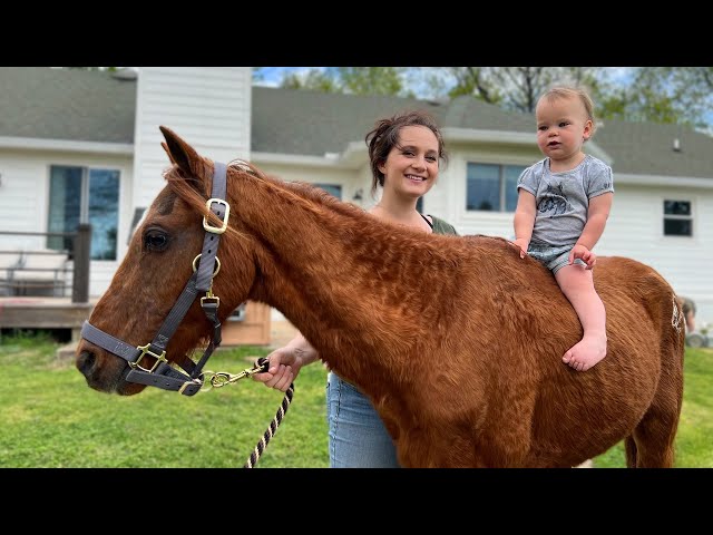 Surprising the Kids With A Pony!
