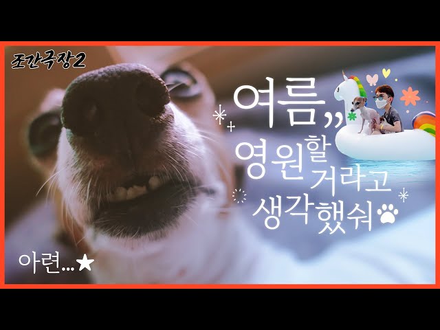 [Jokwon Cinema2] Don't go away Summer...😭 #11 Holding the end of the summer with Gaga&Bieber🐶💦