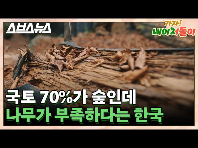 1만 명 이상 참여하면 스브스 거덜낼 수 있다는 심리테스트 / [네이처돌이 EP.1] 스브스뉴스