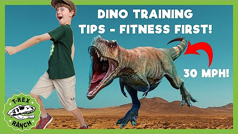 Dino Top Tips! T-Rex Ranch Videos For Kids!