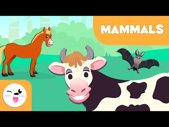 Mammals for kids - Vertebrate animals - Natural Science For Kids