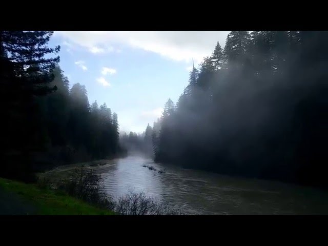 Elk River from the Avenue of Giants