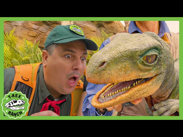 REAL Raptors at Jurassic World?! Dinosaur Adventure | T-Rex Ranch Dinosaur Videos for Kids