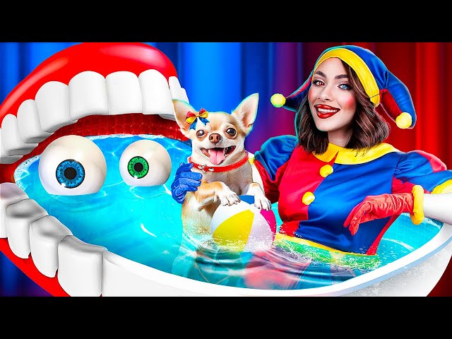 The Amazing Digital Circus Room for My Puppy! Pomni Saved a Dog