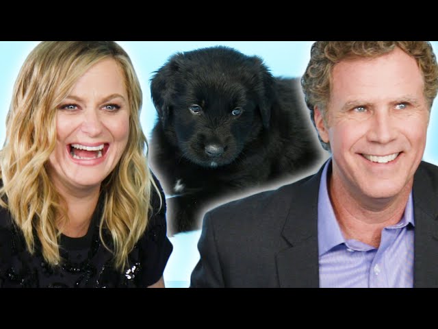 Amy Poehler & Will Ferrell Play With Puppies (While Answering Fan Questions)