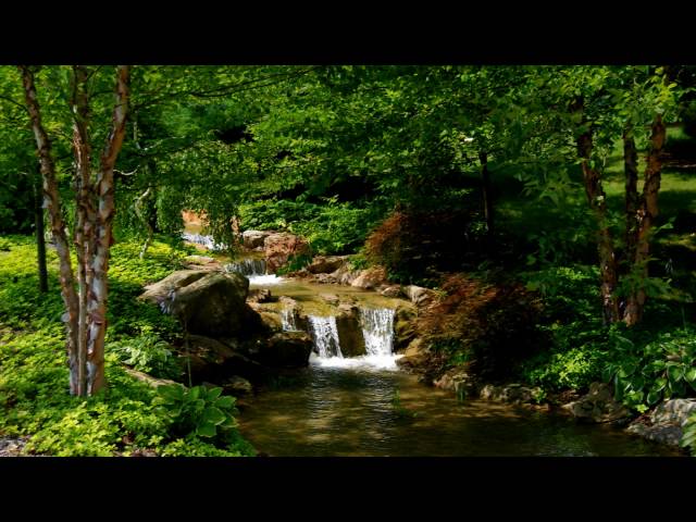Ambience - Stream / River
