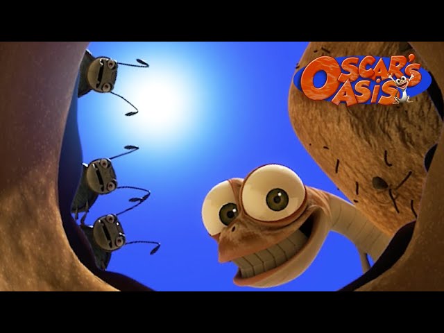 Can Oscar Help His Beetle Friends? | Oscar’s Oasis | Funny Cartoons for Kids