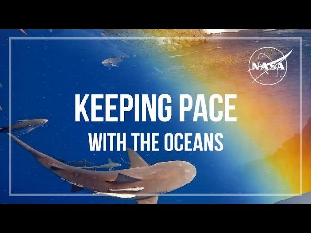 Keeping PACE with the Oceans