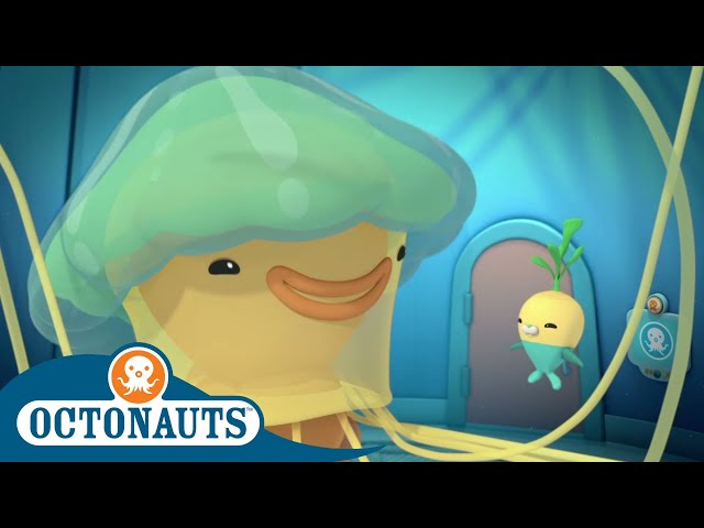 Octonauts - Friends of Octonauts | Cartoons for Kids | Underwater Sea Education