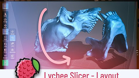 Lychee Slicer
