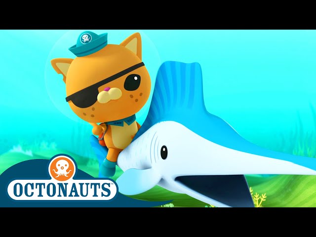 @Octonauts -  💨 The Speedy Sailfish 🐟 | Season 1 | Full Episodes | Cartoons for Kids