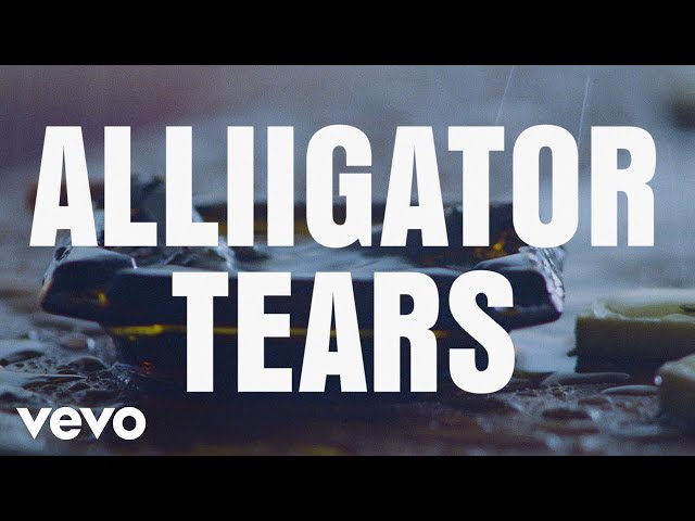 Beyoncé - ALLIIGATOR TEARS (Official Lyric Video)