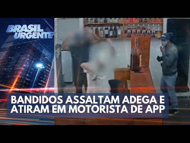 Bandidos assaltam adega e atiram em motorista de app | Brasil Urgente
