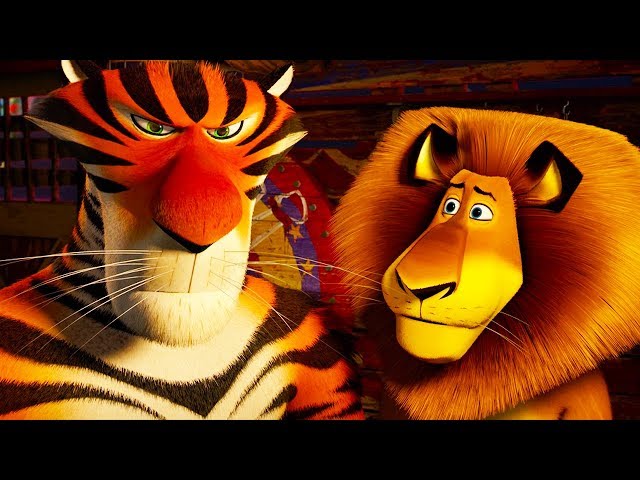 DreamWorks Madagascar | Where Is That Vitaly? | Madagascar 3: Europe's Most Wanted | Kids Movies